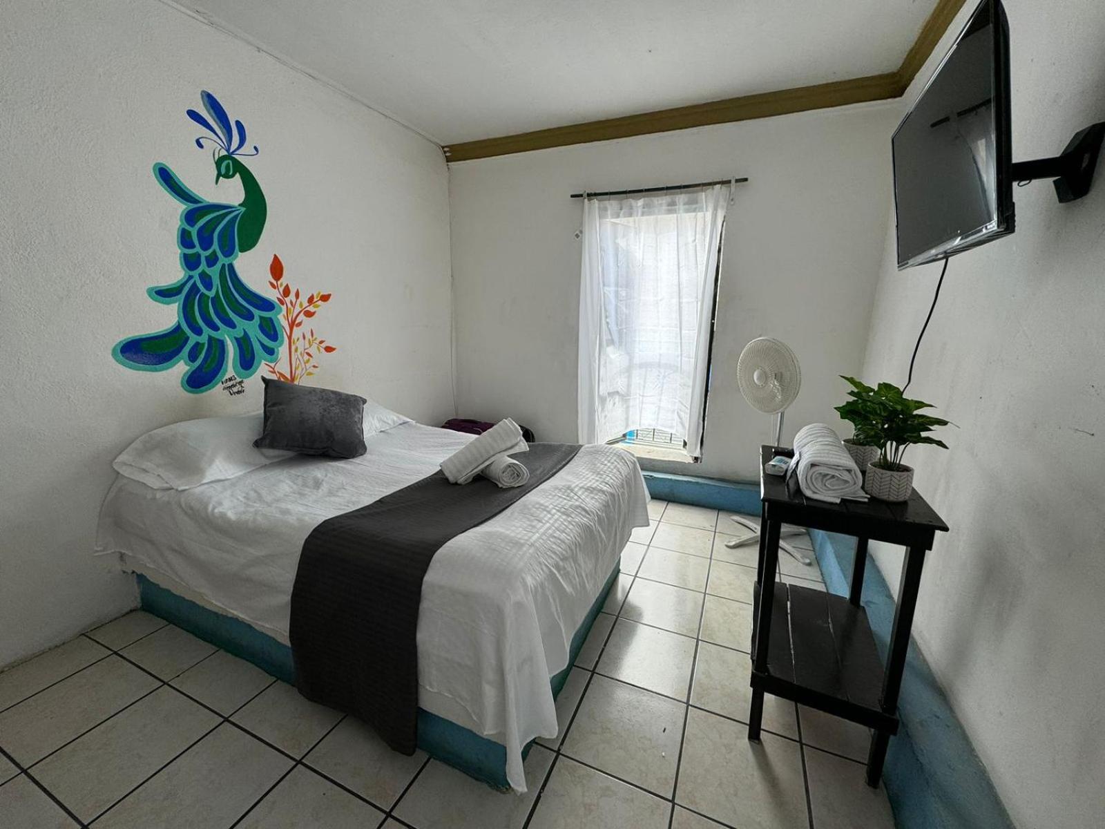 Hotel El Mexicano Tepic Centro 외부 사진